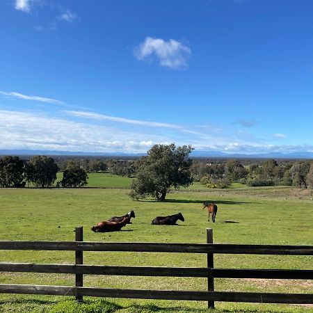 Warby Cottage Wangaratta Dış mekan fotoğraf