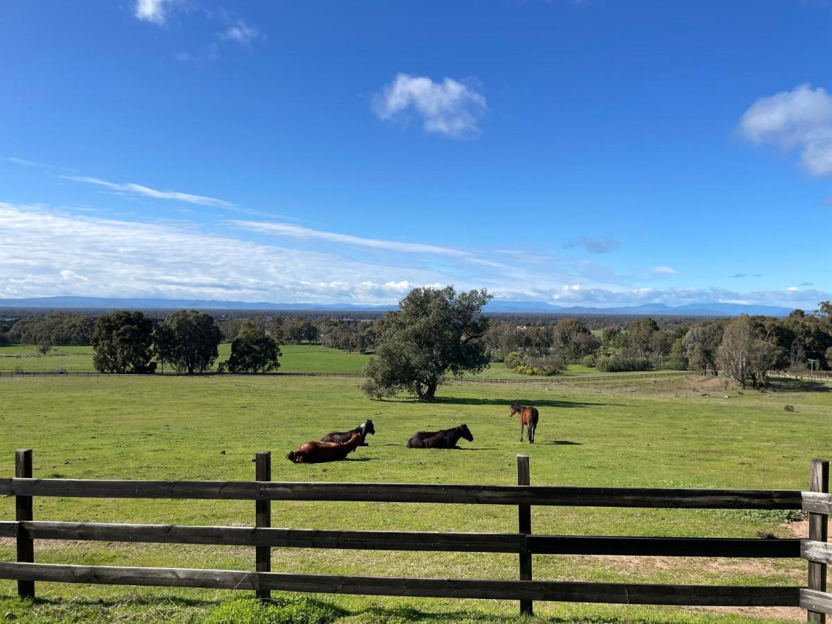 Warby Cottage Wangaratta Dış mekan fotoğraf