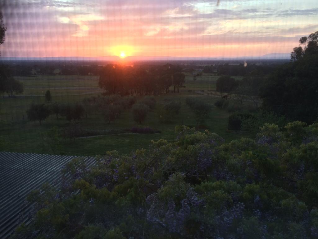 Warby Cottage Wangaratta Oda fotoğraf